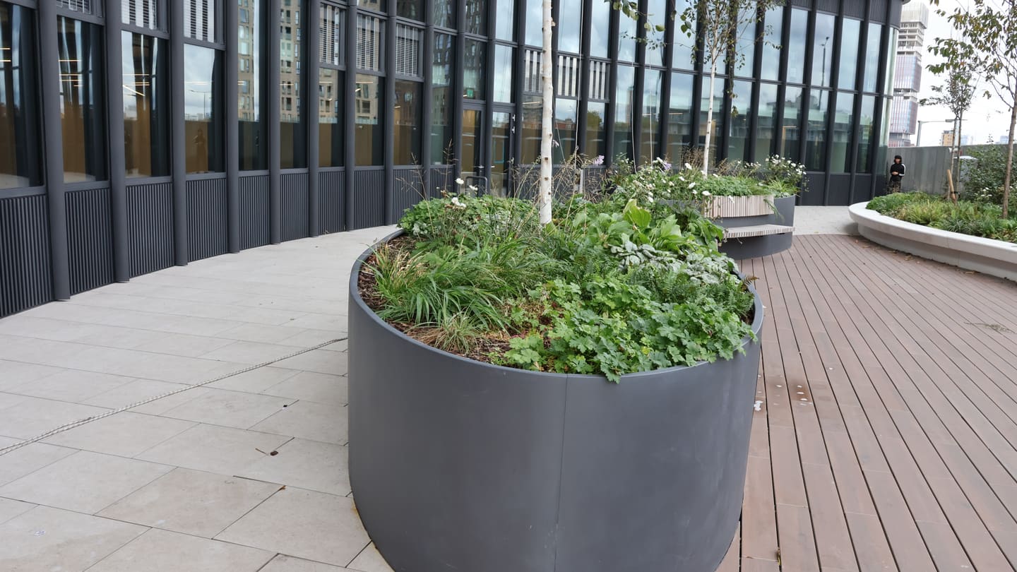 Curved charcoal planters with mixed planting and birch trees beside a glazed building at 2 Trafalgar Way.